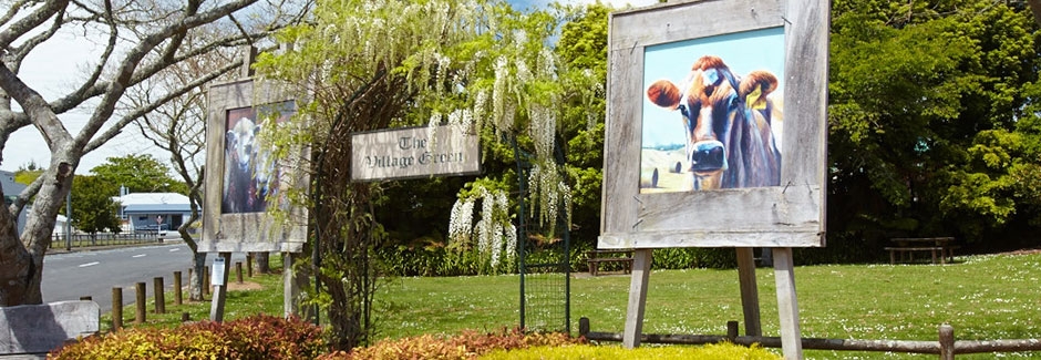 Carmel Farmstays & Tours in Waitomo District
