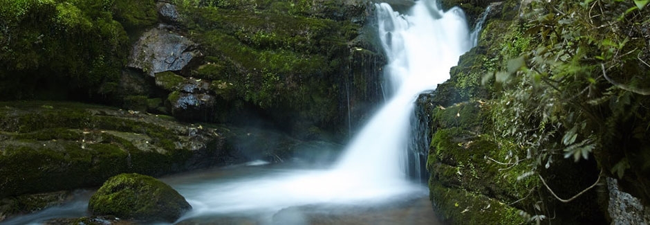 Carmel Farmstays & Tours in Waitomo District